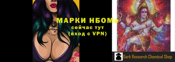 стафф Михайловск