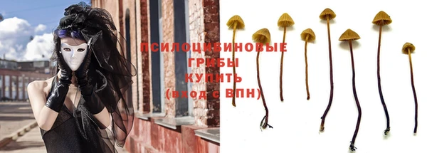 трава Снежногорск