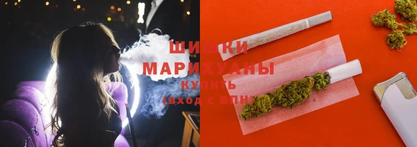 стафф Михайловск