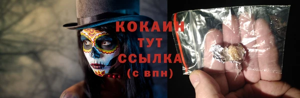 стафф Михайловск