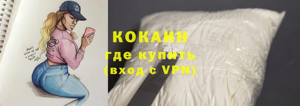 стафф Михайловск