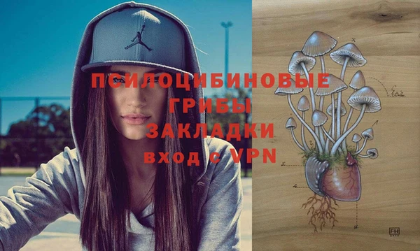 стафф Михайловск