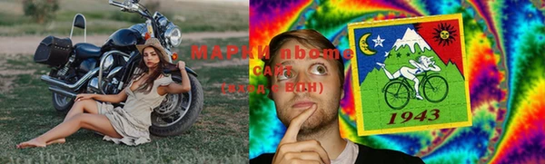 стафф Михайловск