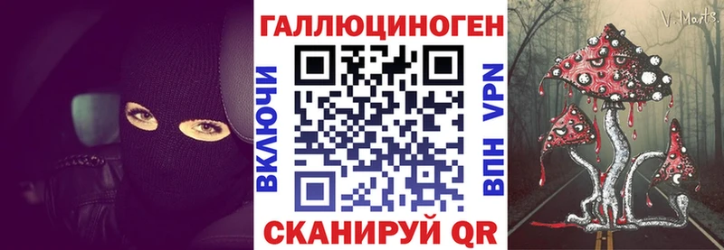kraken ссылки  Шенкурск  Галлюциногенные грибы прущие грибы  закладки 